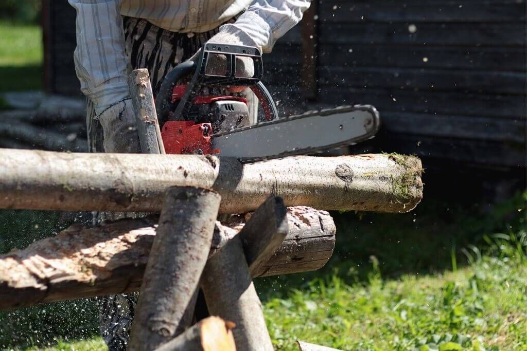 Tips Chainsaw For Cutting