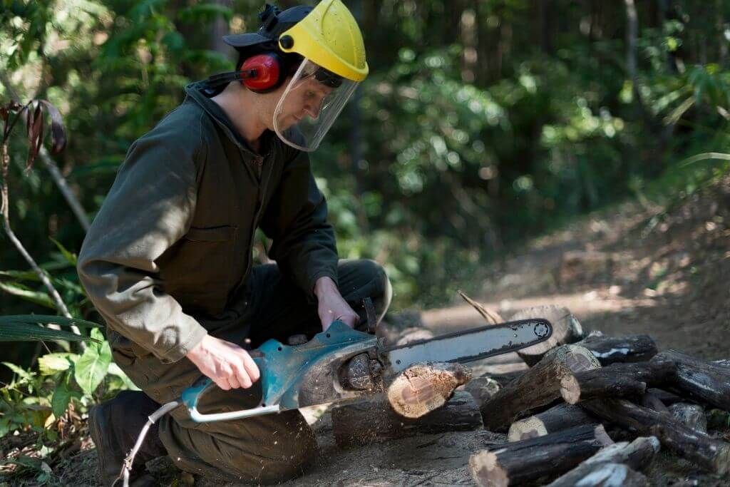 Why Use An Electric Chain Saw