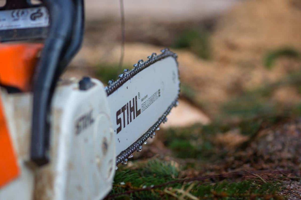 Best Stihl Chainsaws In 2022 - Reviews and Top Picks