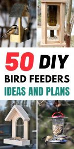 DIY Bird Feeders Ideas And Plans