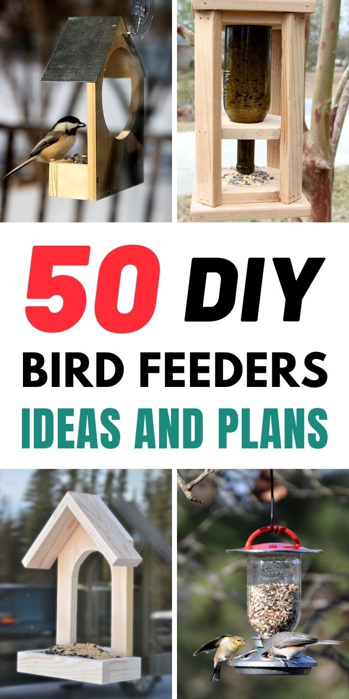 50 DIY Bird Feeders Ideas and Plans