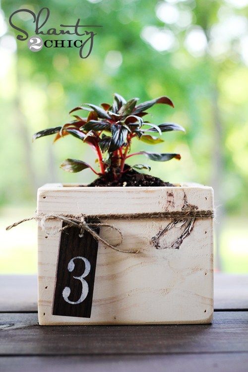 DIY Centerpiece Mini Planter Boxes