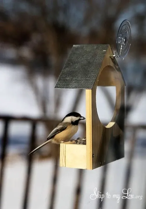 DIY Wooden Bird Feeder