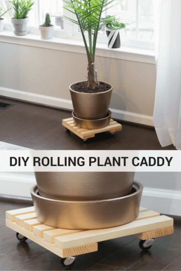 DIY Rolling Plant Caddy