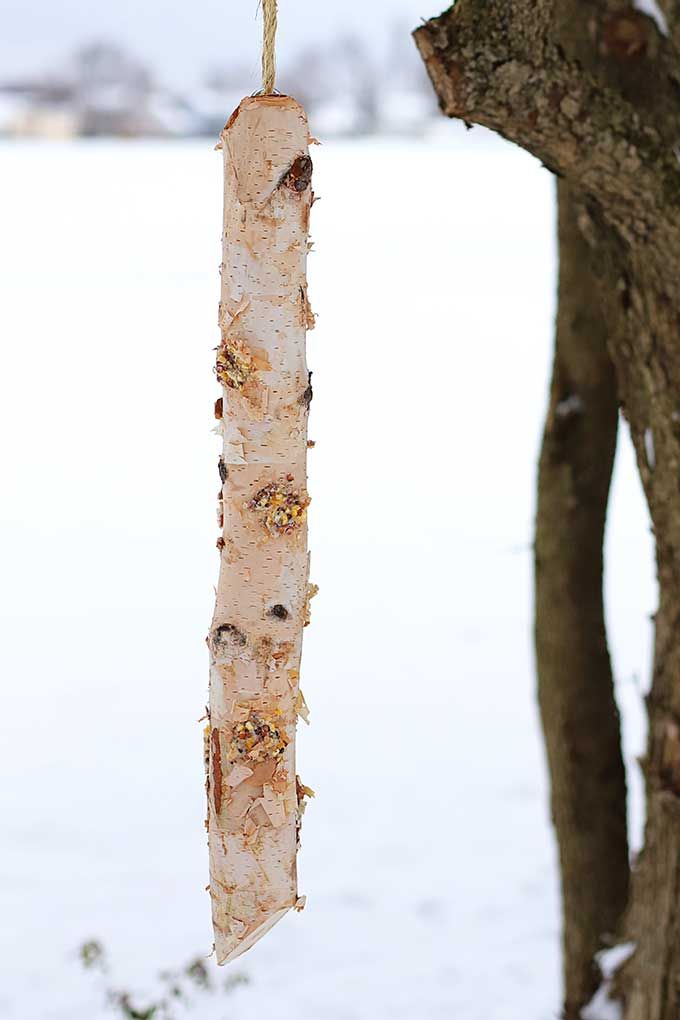 Rustic Log Bird Feeder DIY