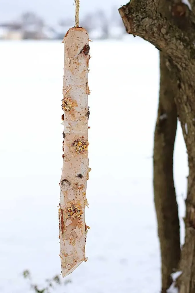 Rustic Log Bird Feeder DIY