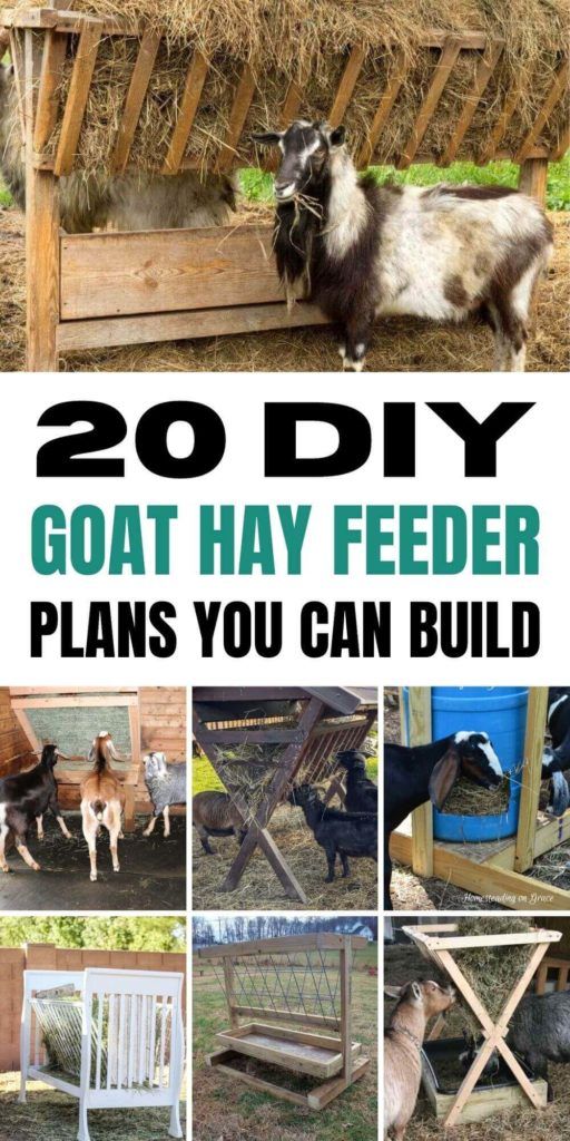 20 DIY Goat Hay Feeder Plans