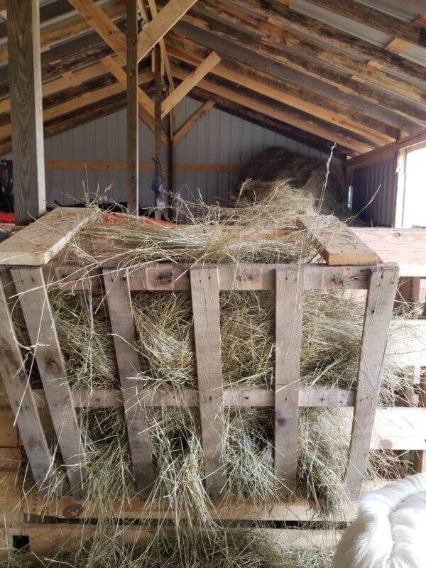 Build A Hay Feeder From Scraps