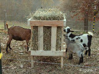DIY Goat Feeder For Square Bales