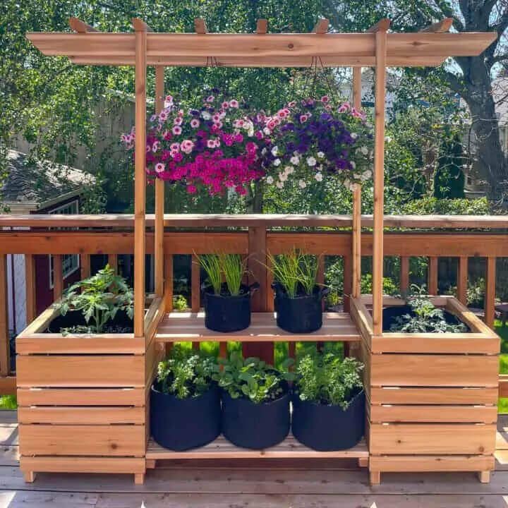 Outdoor Plant Stand With Arbor