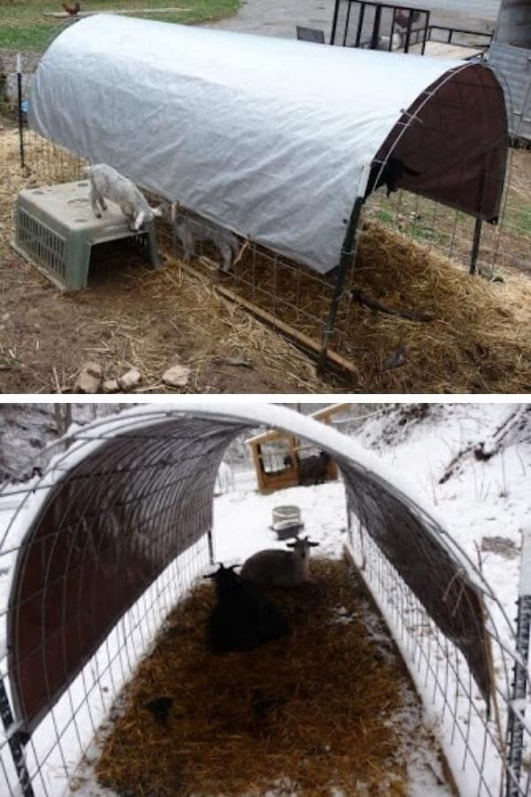 DIY Cashmere Goat Shelter By Mountain Hollow Farm