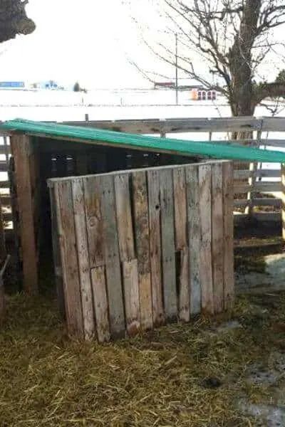 Easy DIY Free Pallet Goat House