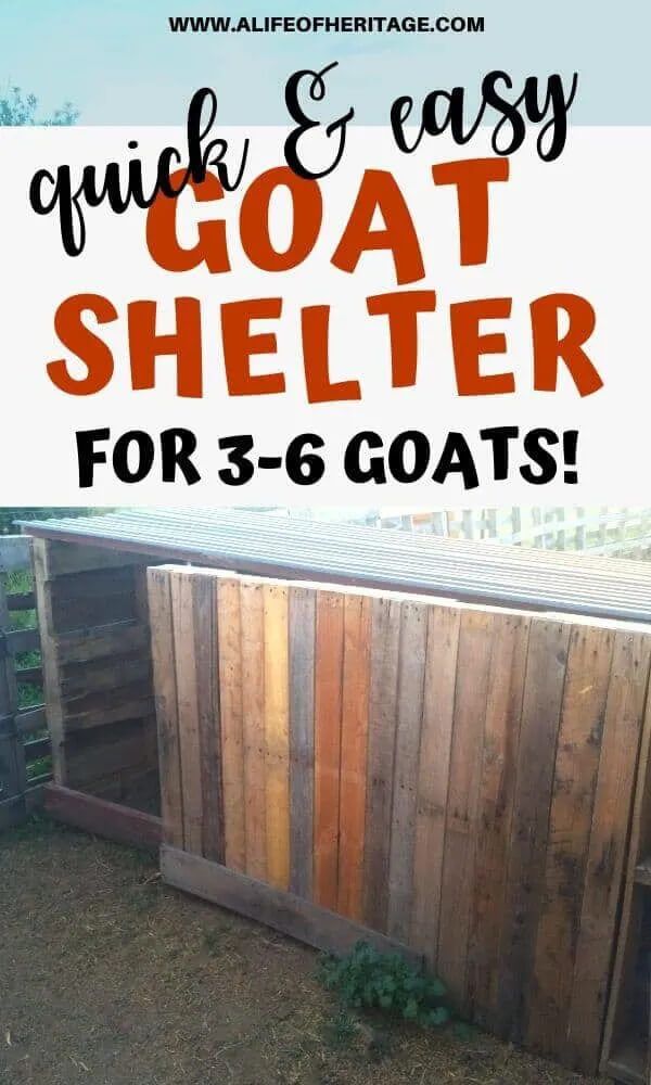 Free Goat Shelter Plans