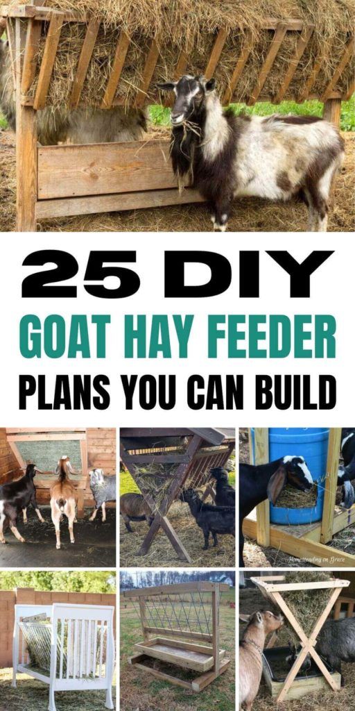 25 DIY Goat Hay Feeder Plans