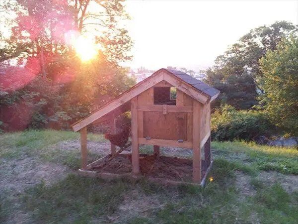 DIY Pallet Chicken Coop with Chicken Wire