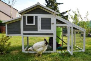 DIY Pallet Chicken Coop Plans And Ideas
