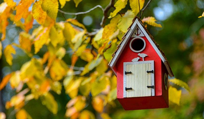 How To Make A Hummingbird House