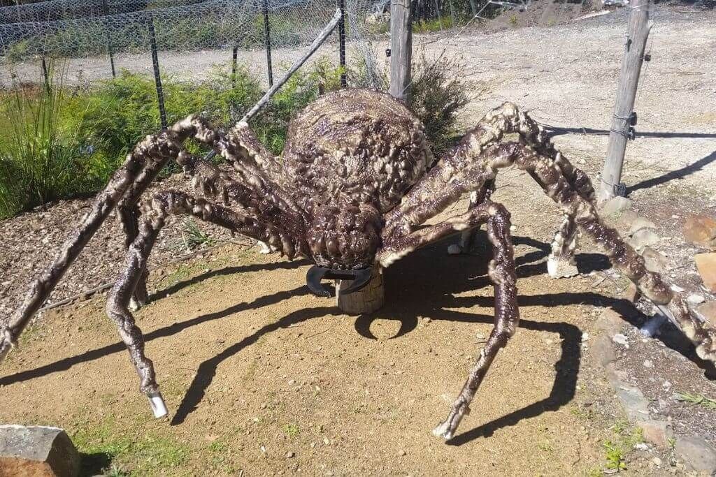 Building A Giant Spider
