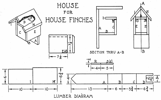 Finch Bird House Plans