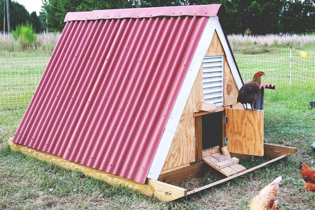 Build An A-Frame Chicken Coop