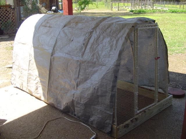 Mobile Chicken Tractor With Plastic Tarp Roofing
