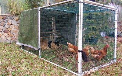PVC Pipe Chicken Tractor With A Roost