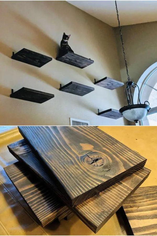 Cat Wall Shelves With Scratching Post