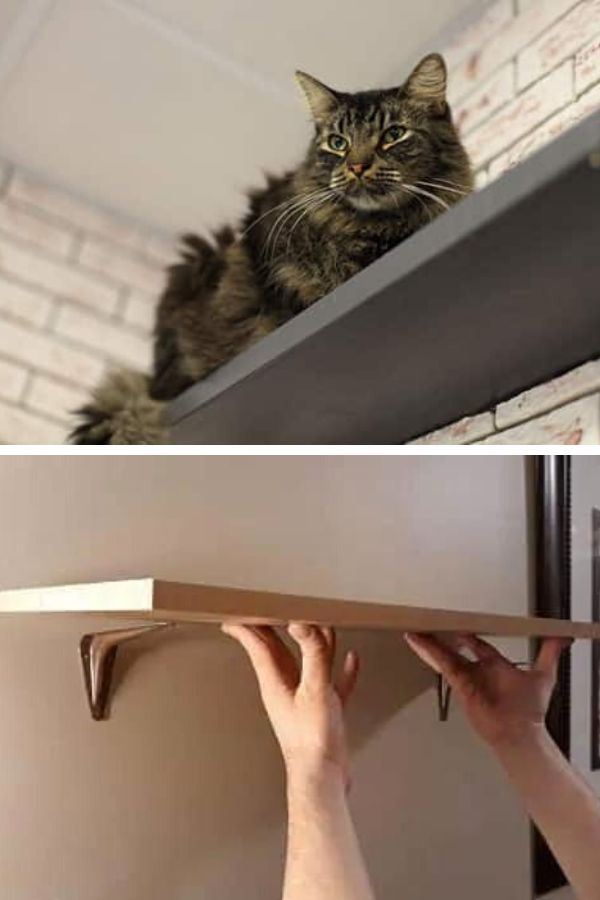 DIY Simple Cat Wall Shelves