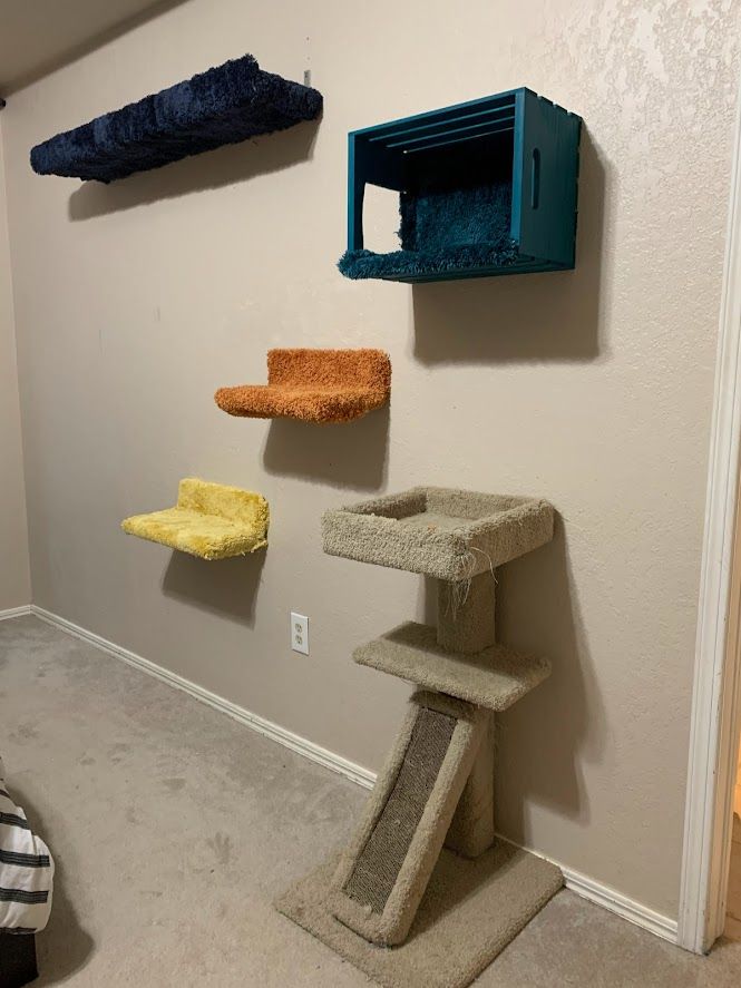Easy DIY Cat Climbing Wall