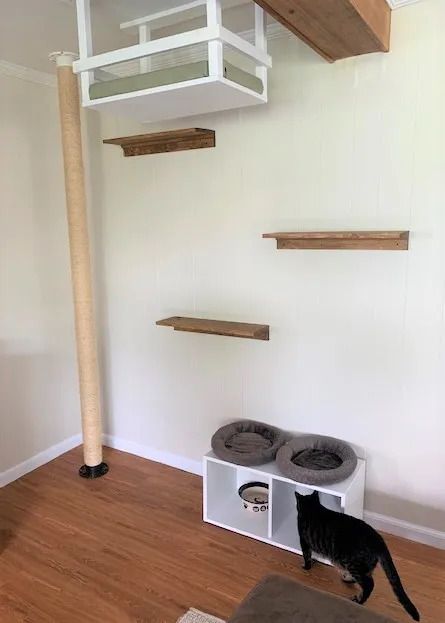 Staircase Cat Shelves