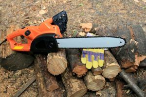 Best Electric Chainsaw Reviews