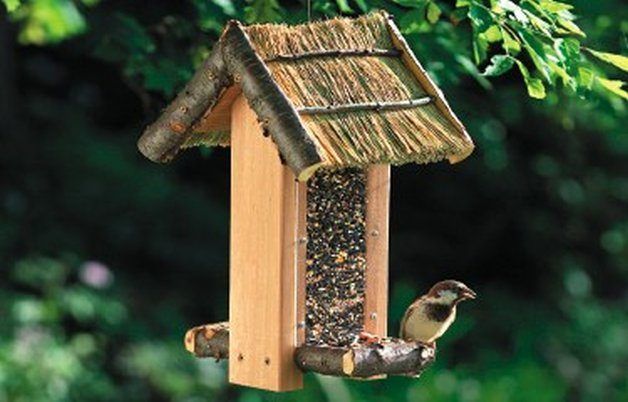 50 Diy Bird Feeders Ideas And Plans Epic Saw Guy