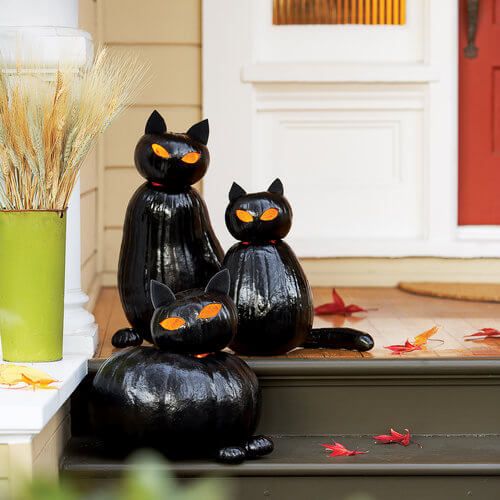 Black Cat O'Lanterns