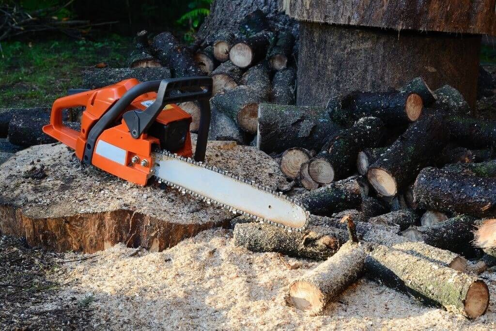 Best Chainsaw Reviews In 2021 The, Garden Tool Company Makes Chainsaws