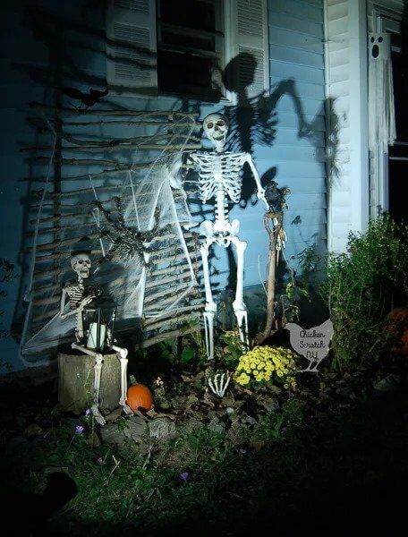 Halloween Skeleton Display