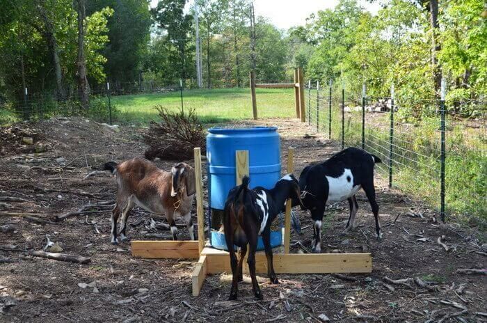 Barrel & Scrap Wood Hay Feeder